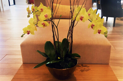 Marriott Mission Valley